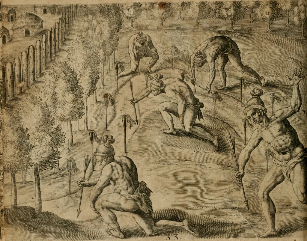 An illustration from America, das ist, Erfindung vnd Offenbahrung der Newen Welt : deroselbigen Völcker, Gestalt, Sitten, Gebräuch, Policey vnd Gottesdienst, 1617, leaf 131