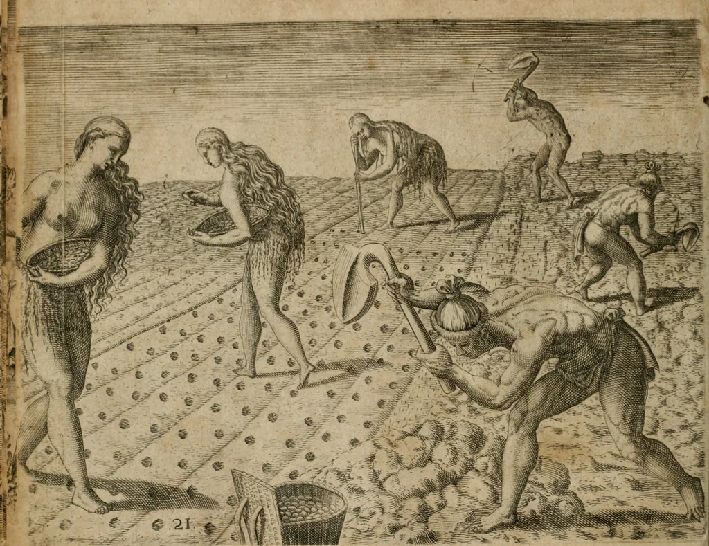 An illustration from America, das ist, Erfindung vnd Offenbahrung der Newen Welt : deroselbigen Völcker, Gestalt, Sitten, Gebräuch, Policey vnd Gottesdienst, 1617, leaf 135