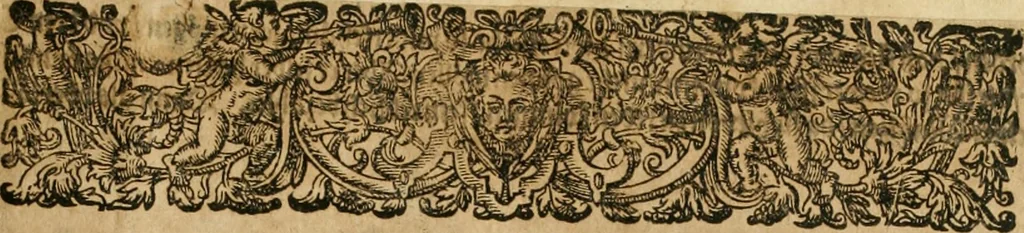An illustration from America, das ist, Erfindung vnd Offenbahrung der Newen Welt : deroselbigen Völcker, Gestalt, Sitten, Gebräuch, Policey vnd Gottesdienst, 1617, leaf 14