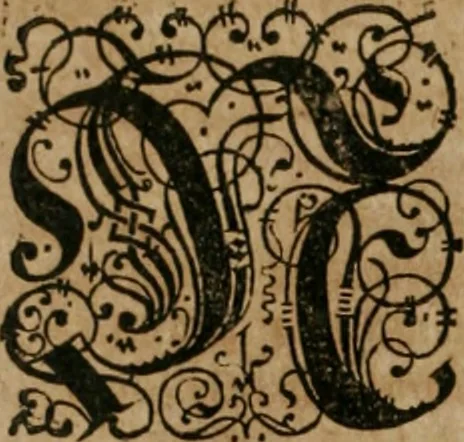 An illustration from America, das ist, Erfindung vnd Offenbahrung der Newen Welt : deroselbigen Völcker, Gestalt, Sitten, Gebräuch, Policey vnd Gottesdienst, 1617, leaf 145