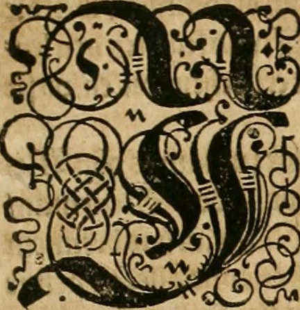 An illustration from America, das ist, Erfindung vnd Offenbahrung der Newen Welt : deroselbigen Völcker, Gestalt, Sitten, Gebräuch, Policey vnd Gottesdienst, 1617, leaf 156