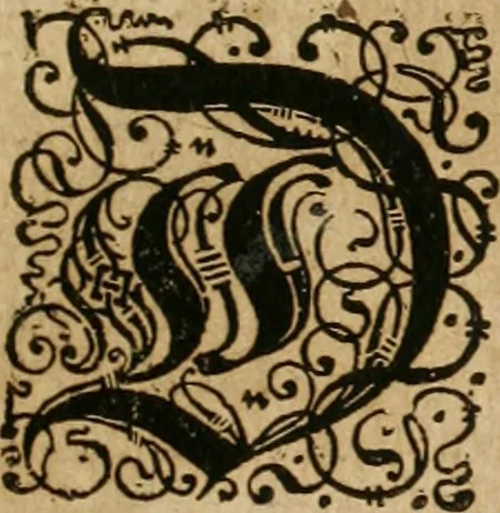 An illustration from America, das ist, Erfindung vnd Offenbahrung der Newen Welt : deroselbigen Völcker, Gestalt, Sitten, Gebräuch, Policey vnd Gottesdienst, 1617, leaf 164