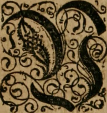 An illustration from America, das ist, Erfindung vnd Offenbahrung der Newen Welt : deroselbigen Völcker, Gestalt, Sitten, Gebräuch, Policey vnd Gottesdienst, 1617, leaf 177