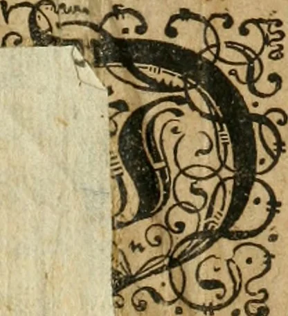 An illustration from America, das ist, Erfindung vnd Offenbahrung der Newen Welt : deroselbigen Völcker, Gestalt, Sitten, Gebräuch, Policey vnd Gottesdienst, 1617, leaf 2