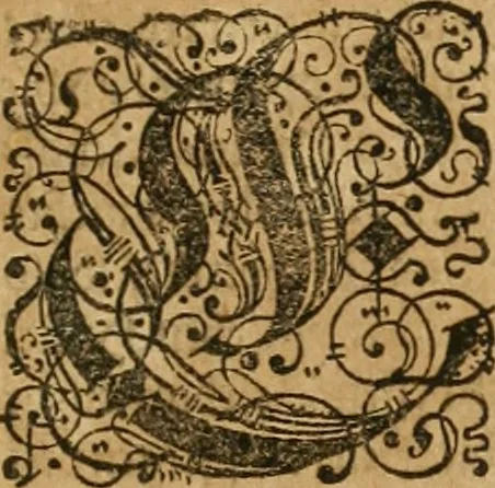 An illustration from America, das ist, Erfindung vnd Offenbahrung der Newen Welt : deroselbigen Völcker, Gestalt, Sitten, Gebräuch, Policey vnd Gottesdienst, 1617, leaf 284