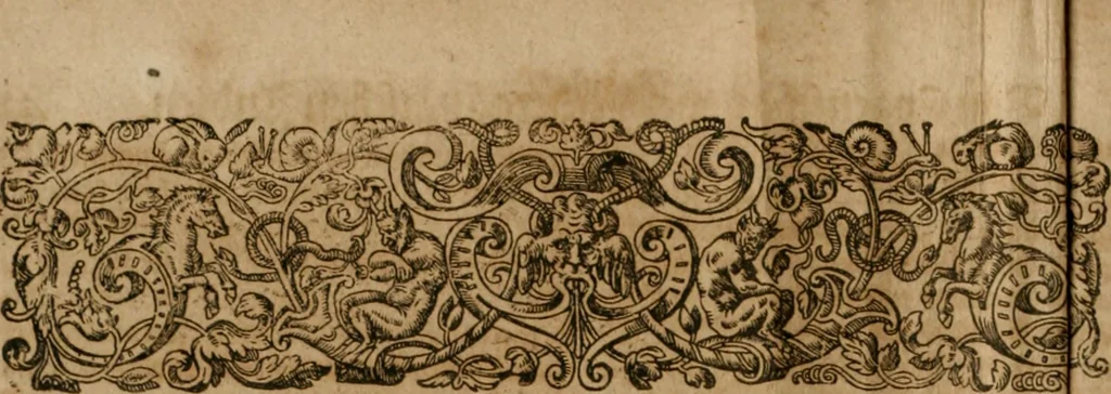 An illustration from America, das ist, Erfindung vnd Offenbahrung der Newen Welt : deroselbigen Völcker, Gestalt, Sitten, Gebräuch, Policey vnd Gottesdienst, 1617, leaf 375