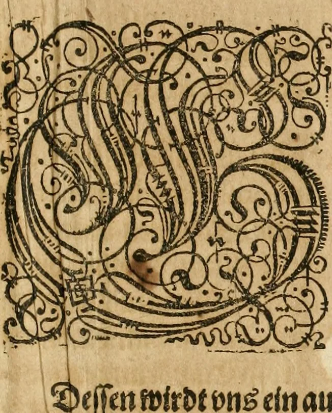 An illustration from America, das ist, Erfindung vnd Offenbahrung der Newen Welt : deroselbigen Völcker, Gestalt, Sitten, Gebräuch, Policey vnd Gottesdienst, 1617, leaf 6