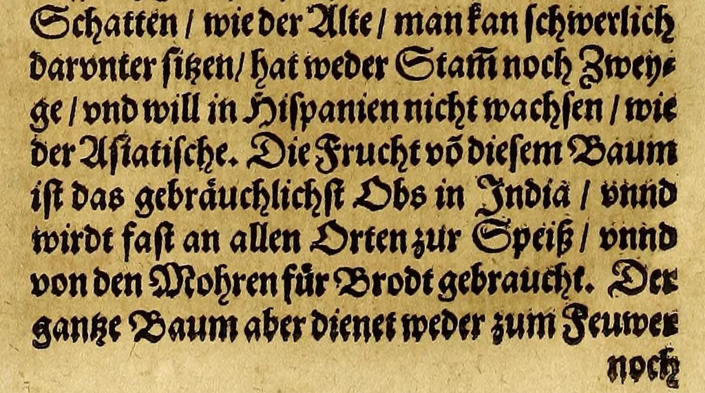 An illustration from America, das ist, Erfindung vnd Offenbahrung der Newen Welt, deroselbigen Völcker, Gestalt, Sitten, Gebräuch, Policey vnd Gottesdienst, in dreyssig vornemste Schifffahrten kürtzlich vnnd ordentlich zusammen gefasset, vnd mit seinen Marginalien vnnd Register erkläret:, 1617, leaf 394