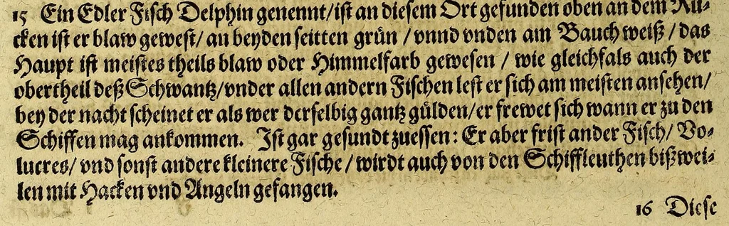 An illustration from Americae achter Theil, : in welchem erstlich beschrieben wirt das mächtige vnd goldtreiche Königreich Guiana, zu norden dess grossen Flusses Oronoke, sonsten Oregliana gennant, gelegen, sampt desselbigen fürnembsten vnd reichsten Hauptstätten Manoa vnd Macuieguarai, auch die fürnembste vnd köstlichste Kauffmannschafften die dieses Königreich vberflüssig in sich hat. Item, eine kurtze Beschreibung der vmbligenden Landtschafften Emereia, Arromaia, Amapaia, Topago, &c. in welchen neben andern Völckern die kriegische Weiber, von den alten Amazones genannt, wohnen, sampt kurtzer meldung 53-grosser Wasserströhm, vnter denen der Oronoke der gröste ist, vnd sich wol 500. Teutscher Meil in das Landt hineyn, bey nahe an die mächtige Statt Quito in Peru, erstreckt. Alles mit fleiss beschrieben durch den gestrengen, Edlen vn[d] vesten Walthern Ralegh, Rittern, vnd Hauptmann vber jrer Kön. Mayest. auss Engellandt Leibs Guardi, welcher neben dem auff dem Meer auch wolgeübten Hauptmann, Lorentz Keymis alles selber erfahren vnd gesehen hat im Jar 1595. vnd 1596. Zum andern, die reyse dess Edlen vnd vesten Thomas Candisch, welcher im Jar 1586. mit. 3. Schiffen in Engellandt aussgefahren, und nach dem er das Meer bey die 13000. Engelländischer Meil befelgt, in Anno 1588. wider an ist gelanget, sampt Erzehlung aller Abentheuwer Geschichten so jm auff dieser Reyss zu handen gestossen seynd. Durch Frantzen Prettie einen Engelländer, welcher dieser Fahrt persönlich hat beygewohnet, von Tag zu Tag auffgezeichnet. Vnd zum dritten die letzte Reyss der gestrengen, Edlen vnd vesten Frantzen Draeck vnd Iohan Hauckens, Rittern, welche Anno 1595. mit 6. der Königin und 21. andern Schiffen, darauff 2500. Mann gewesen, in Engellandt abgesegelt in die Occidentalische Indien, die Statt Panama eynzunemmen, auff welcher Reyse sie beyde jr Leben beschlossen haben., 1599, leaf 210