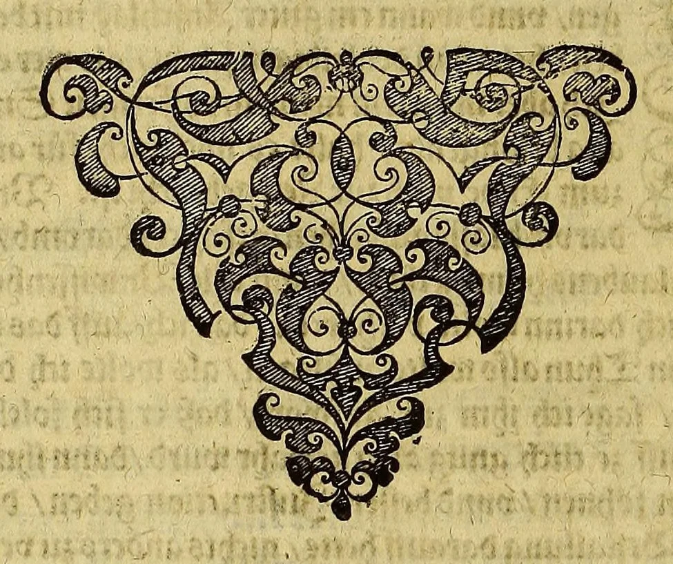 An illustration from Americae achter Theil, : in welchem erstlich beschrieben wirt das mächtige vnd goldtreiche Königreich Guiana, zu norden dess grossen Flusses Oronoke, sonsten Oregliana gennant, gelegen, sampt desselbigen fürnembsten vnd reichsten Hauptstätten Manoa vnd Macuieguarai, auch die fürnembste vnd köstlichste Kauffmannschafften die dieses Königreich vberflüssig in sich hat. Item, eine kurtze Beschreibung der vmbligenden Landtschafften Emereia, Arromaia, Amapaia, Topago, &c. in welchen neben andern Völckern die kriegische Weiber, von den alten Amazones genannt, wohnen, sampt kurtzer meldung 53-grosser Wasserströhm, vnter denen der Oronoke der gröste ist, vnd sich wol 500. Teutscher Meil in das Landt hineyn, bey nahe an die mächtige Statt Quito in Peru, erstreckt. Alles mit fleiss beschrieben durch den gestrengen, Edlen vn[d] vesten Walthern Ralegh, Rittern, vnd Hauptmann vber jrer Kön. Mayest. auss Engellandt Leibs Guardi, welcher neben dem auff dem Meer auch wolgeübten Hauptmann, Lorentz Keymis alles selber erfahren vnd gesehen hat im Jar 1595. vnd 1596. Zum andern, die reyse dess Edlen vnd vesten Thomas Candisch, welcher im Jar 1586. mit. 3. Schiffen in Engellandt aussgefahren, und nach dem er das Meer bey die 13000. Engelländischer Meil befelgt, in Anno 1588. wider an ist gelanget, sampt Erzehlung aller Abentheuwer Geschichten so jm auff dieser Reyss zu handen gestossen seynd. Durch Frantzen Prettie einen Engelländer, welcher dieser Fahrt persönlich hat beygewohnet, von Tag zu Tag auffgezeichnet. Vnd zum dritten die letzte Reyss der gestrengen, Edlen vnd vesten Frantzen Draeck vnd Iohan Hauckens, Rittern, welche Anno 1595. mit 6. der Königin und 21. andern Schiffen, darauff 2500. Mann gewesen, in Engellandt abgesegelt in die Occidentalische Indien, die Statt Panama eynzunemmen, auff welcher Reyse sie beyde jr Leben beschlossen haben., 1599, leaf 74