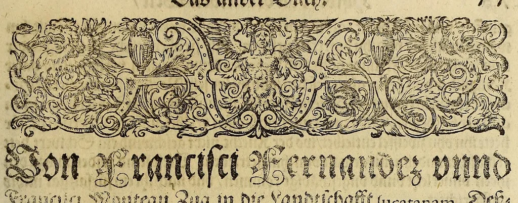 An illustration from Americae das fünffte Buch,, 1595, leaf 87
