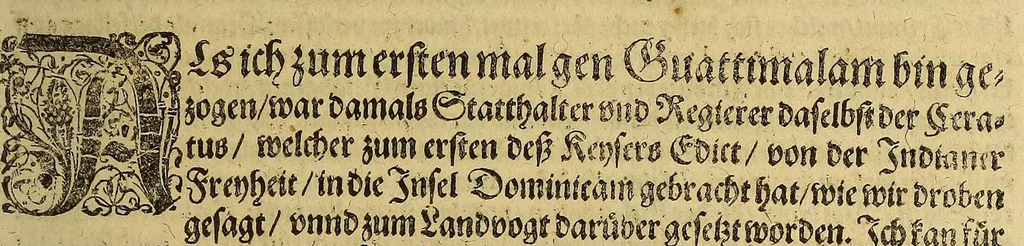 An illustration from Americae das fünffte Buch,, 1613, leaf 123