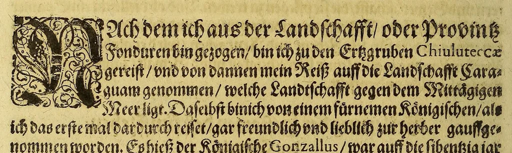 An illustration from Americae das fünffte Buch,, 1613, leaf 92