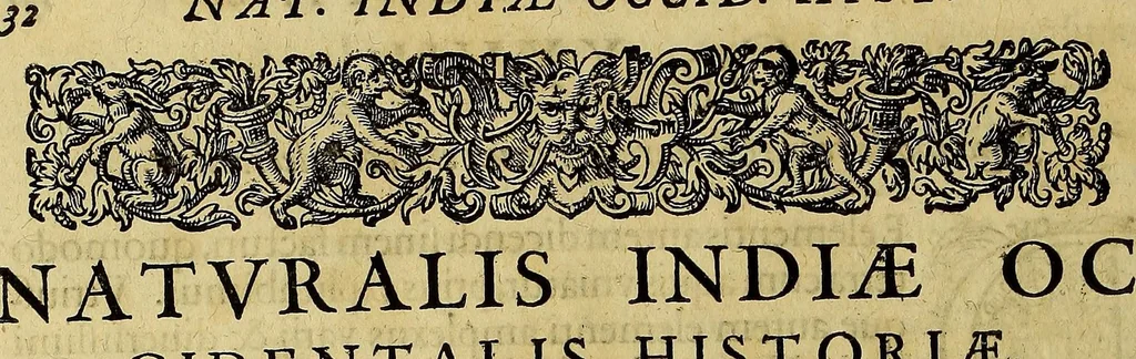 An illustration from Americae nona & postrema pars. : Qua de ratione elementorum: De novi orbis natura: de huius incolarum superstitiosis cultibus: deq[ue] forma politicae ac Republ. ipsorum copiosè pertractatur: catalogo regum Mexicanorum omnium, à primo usq[ue] ad vltimum Motec̦umam II. addito: cui etiam ritus eorum coronationis, ac sepulturae annectitur, cum enumeratione bellorum, quae mutuò Indi gesserunt. His accessit designatio illius navigationis, quam 5. naues Hollandicae anno 1598. per Fretum Magellanum in Moluccanas insulas tentarunt: quomodo nimirum oborta tempestate capitaneus Sebalt de Weert à caeteris nauibus dispulsus, postquam plurimis mensibus in freto infinitis aerumnis miserè iactatus fuisset, tandem infectare post biennium An[no] 1600. domum reuersus sit. Addita est tertio nauigatio recens, quam 4. nauium praefectus Olevier à Noort proximè suscepit: qui Freto Magellanico classe transmisso, triennij spatio vniuersum terrae orbem seu globum mira navigationis forte obiuit: annexis illis, quae in itinere isto singularia ac memorabiliora notata sunt., 1602, leaf 148