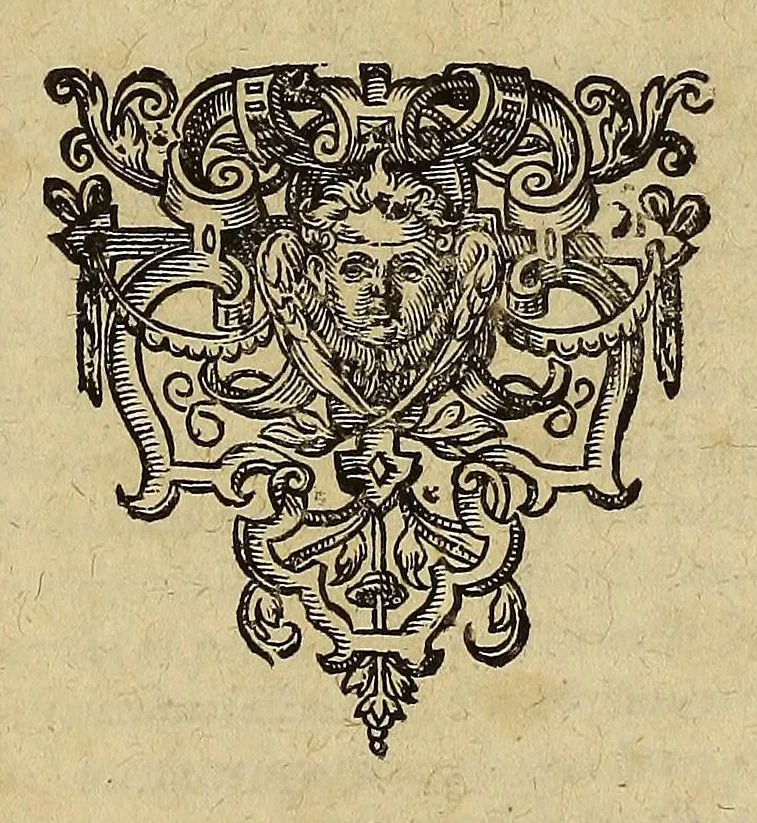 An illustration from Americae nona & postrema pars. : Qua de ratione elementorum: De novi orbis natura: de huius incolarum superstitiosis cultibus: deq[ue] forma politicae ac Republ. ipsorum copiosè pertractatur: catalogo regum Mexicanorum omnium, à primo usq[ue] ad vltimum Motec̦umam II. addito: cui etiam ritus eorum coronationis, ac sepulturae annectitur, cum enumeratione bellorum, quae mutuò Indi gesserunt. His accessit designatio illius navigationis, quam 5. naues Hollandicae anno 1598. per Fretum Magellanum in Moluccanas insulas tentarunt: quomodo nimirum oborta tempestate capitaneus Sebalt de Weert à caeteris nauibus dispulsus, postquam plurimis mensibus in freto infinitis aerumnis miserè iactatus fuisset, tandem infectare post biennium An[no] 1600. domum reuersus sit. Addita est tertio nauigatio recens, quam 4. nauium praefectus Olevier à Noort proximè suscepit: qui Freto Magellanico classe transmisso, triennij spatio vniuersum terrae orbem seu globum mira navigationis forte obiuit: annexis illis, quae in itinere isto singularia ac memorabiliora notata sunt., 1602, leaf 439