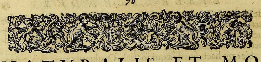 An illustration from Americae nona & postrema pars. : Qua de ratione elementorum: De novi orbis natura: de huius incolarum superstitiosis cultibus: deq[ue] forma politicae ac Republ. ipsorum copiosè pertractatur: catalogo regum Mexicanorum omnium, à primo usq[ue] ad vltimum Motec̦umam II. addito: cui etiam ritus eorum coronationis, ac sepulturae annectitur, cum enumeratione bellorum, quae mutuò Indi gesserunt. His accessit designatio illius navigationis, quam 5. naues Hollandicae anno 1598. per Fretum Magellanum in Moluccanas insulas tentarunt: quomodo nimirum oborta tempestate capitaneus Sebalt de Weert à caeteris nauibus dispulsus, postquam plurimis mensibus in freto infinitis aerumnis miserè iactatus fuisset, tandem infectare post biennium An[no] 1600. domum reuersus sit. Addita est tertio nauigatio recens, quam 4. nauium praefectus Olevier à Noort proximè suscepit: qui Freto Magellanico classe transmisso, triennij spatio vniuersum terrae orbem seu globum mira navigationis forte obiuit: annexis illis, quae in itinere isto singularia ac memorabiliora notata sunt., 1602, leaf 86