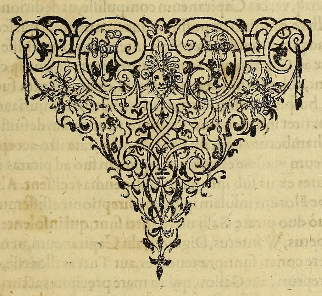 An illustration from Americae pars decima: : quae continentur, I. Duae navigationes Dn. Americi Vesputii, sub auspiciis Castellani regis, Ferdinandi susceptae. II. Solida narratio de moderno provinciae Virginiae statu, qua ratione tandem pax cum Indianis coaluerit, ac castella aliquot ad regionis praesidium ab Anglis extructa fuerint; additâ historiâ lectu jucundissimâ, quomodo Pokahuntas, regis Virginiae Powhatani filia, primori cuidam Anglo nupserit; authore Raphe Hamor Virginiae secretario. III. Vera descriptio Novae Angliae, quae Americae pars ad septentrionalem Indiam spectat, à capitaneo Johanne Schmidt, equite atque admirali delineata: cui accessit discursus, quomodo in secunda navigatione à Gallis captus, anno 1616. demum liberatus fuerit. Omnia nunc primùm in lucem edita, atque eleganter in aes incisis iconibus illustrata, / sumptibus ac studio Johann-Theodori de Bry, 1619, leaf 73