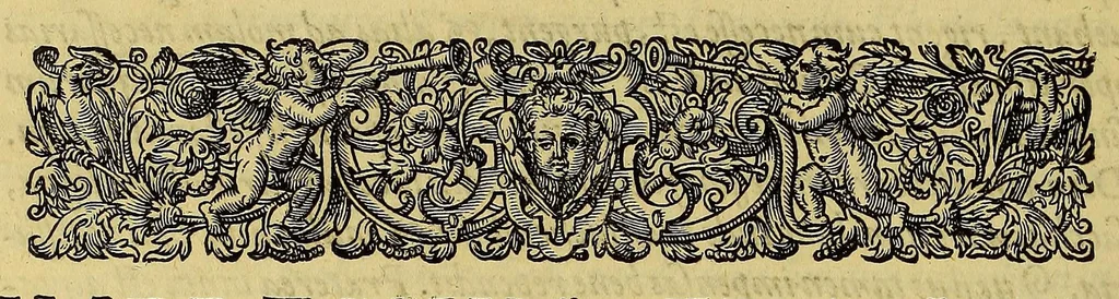 An illustration from Americae pars quarta. Sive, Insignis & admiranda historia de reperta primùm Occidentali India à Christophoro Columbo anno M CCCCXCII, 1594, leaf 214