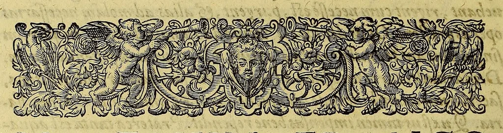 An illustration from Americae pars quarta. Sive, Insignis & admiranda historia de reperta primùm Occidentali India à Christophoro Columbo anno M CCCCXCII, 1594, leaf 164