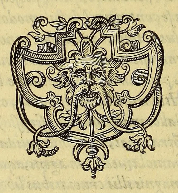 An illustration from Americae pars quarta. Sive, Insignis & admiranda historia de reperta primùm Occidentali India à Christophoro Columbo anno M CCCCXCII, 1594, leaf 164