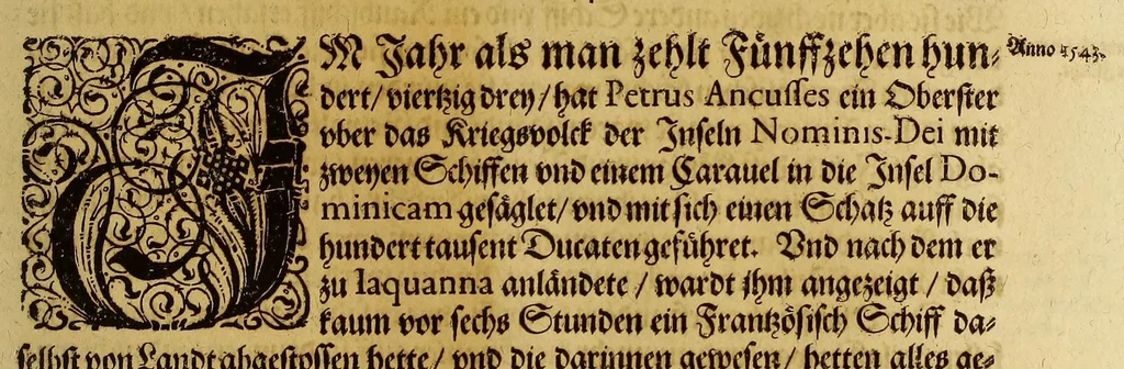 An illustration from Americae pars quinta., 1613, leaf 29