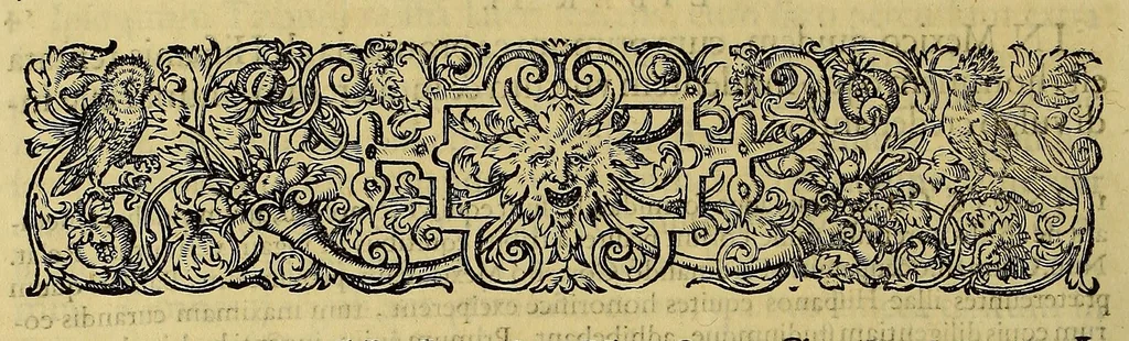 An illustration from Americae pars quinta, 1595, leaf 104