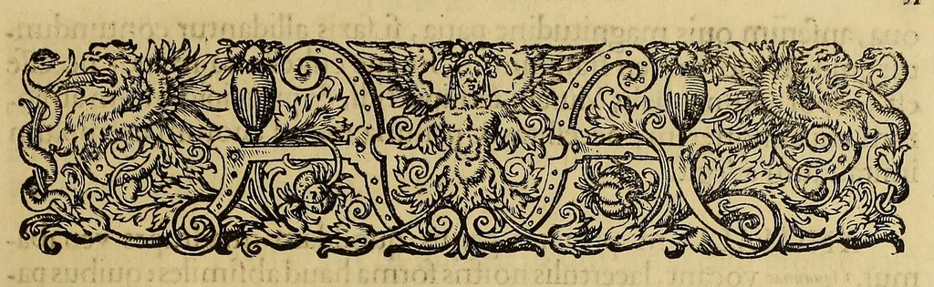 An illustration from Americae pars quinta, 1595, leaf 109