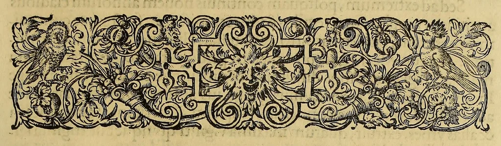An illustration from Americae pars quinta, 1595, leaf 113