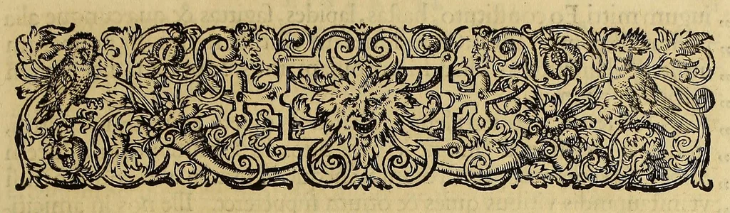 An illustration from Americae pars quinta, 1595, leaf 117