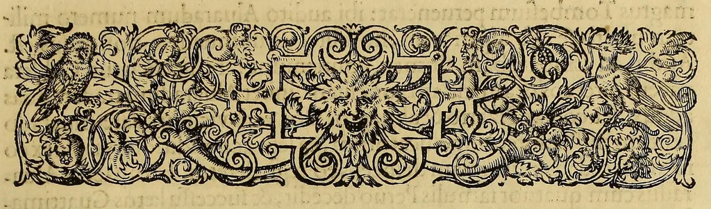 An illustration from Americae pars quinta, 1595, leaf 123