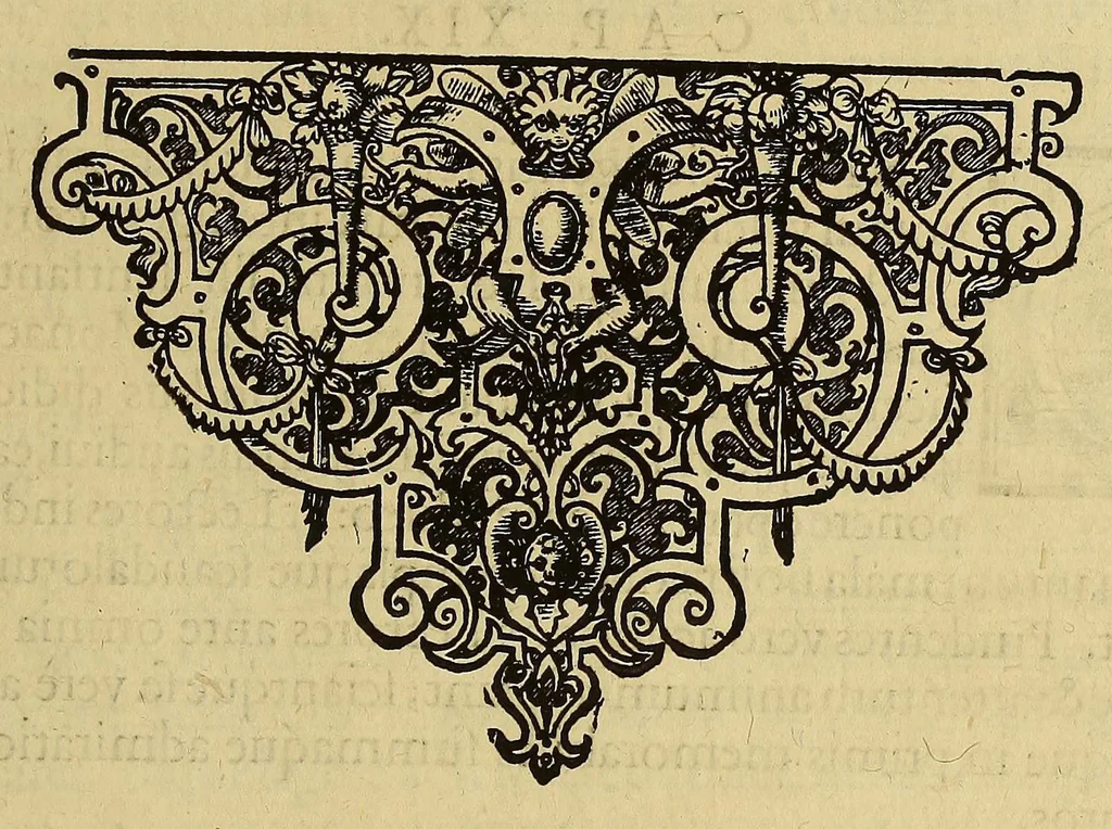 An illustration from Americae pars quinta, 1595, leaf 131