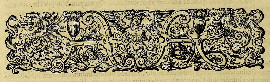 An illustration from Americae pars quinta, 1595, leaf 132