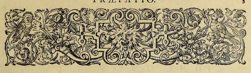 An illustration from Americae pars quinta, 1595, leaf 61