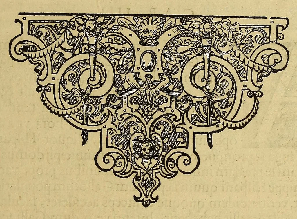 An illustration from Americae pars quinta, 1595, leaf 73