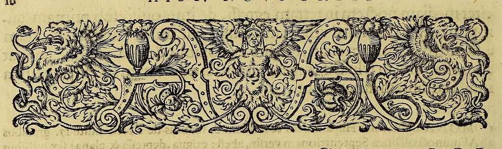 An illustration from Americae pars quinta, 1595, leaf 74