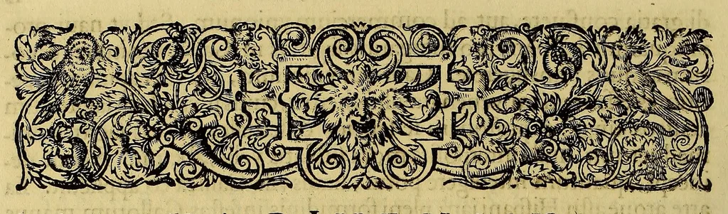 An illustration from Americae pars quinta, 1595, leaf 78