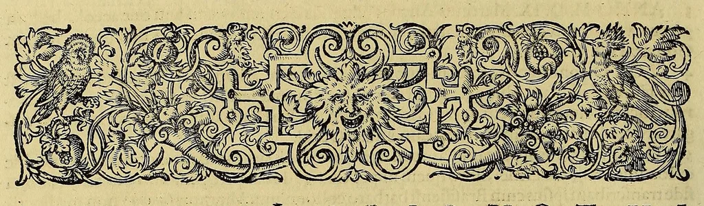 An illustration from Americae pars quinta, 1595, leaf 82