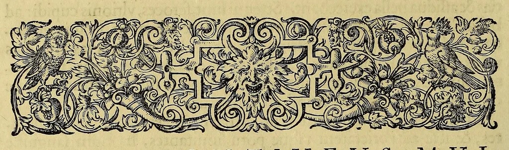 An illustration from Americae pars quinta, 1595, leaf 84