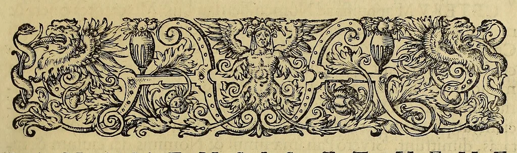 An illustration from Americae pars quinta, 1595, leaf 87