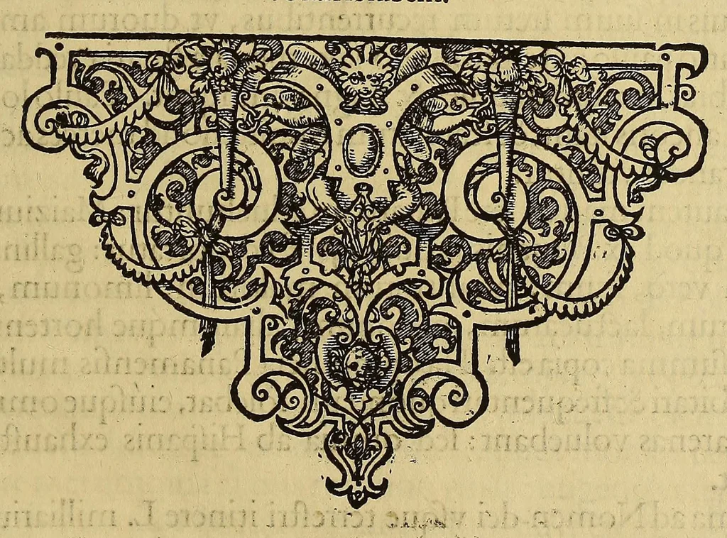An illustration from Americae pars quinta, 1595, leaf 89