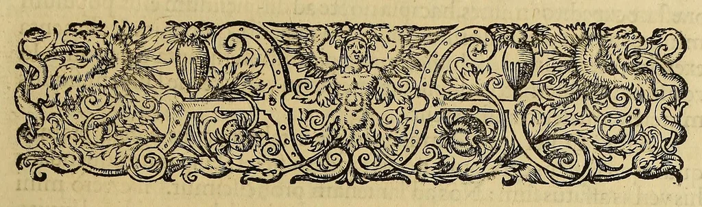 An illustration from Americae pars quinta, 1595, leaf 99