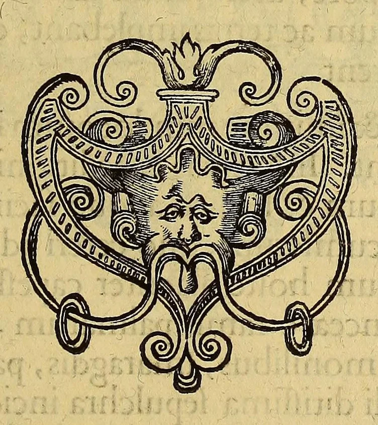 An illustration from Americae pars quinta, 1595, leaf 35