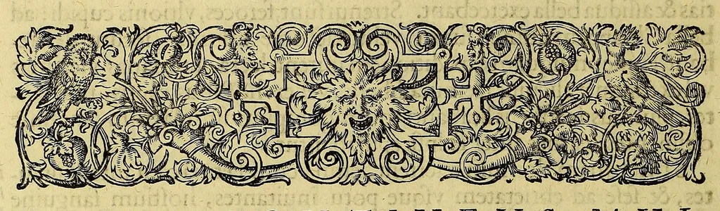An illustration from Americae pars quinta, 1595, leaf 38