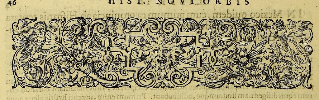 An illustration from Americae pars quinta, 1595, leaf 58