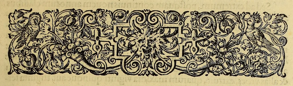An illustration from Americae pars quinta, 1595, leaf 67