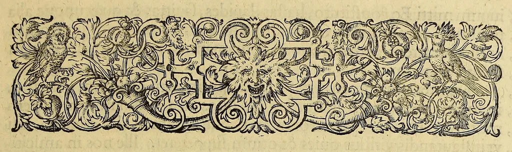 An illustration from Americae pars quinta, 1595, leaf 71