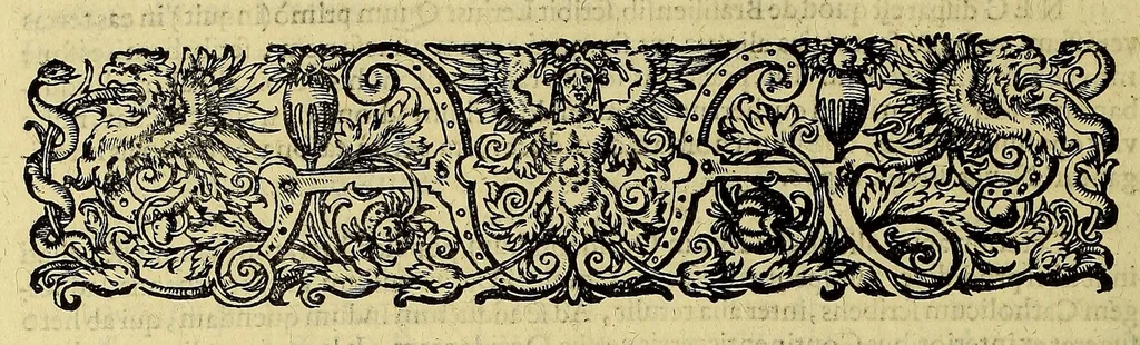 An illustration from Americae pars quinta, 1595, leaf 86