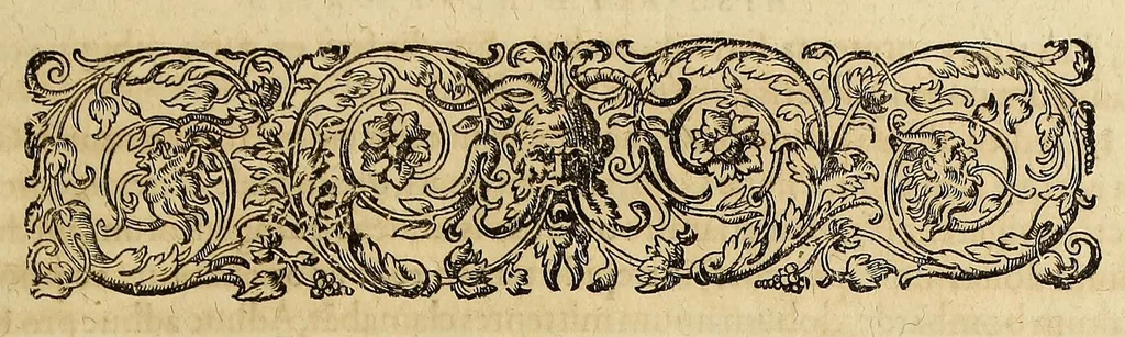 An illustration from Americae pars quinta., 1617, leaf 19