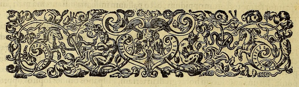 An illustration from Americae pars quinta., 1617, leaf 28