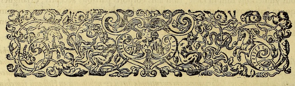 An illustration from Americae pars quinta., 1617, leaf 42